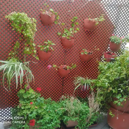 Habitación En Un ático Con Gran Terraza Al Aire Libre Noche 75 Mas Noches A 65e * Burriana